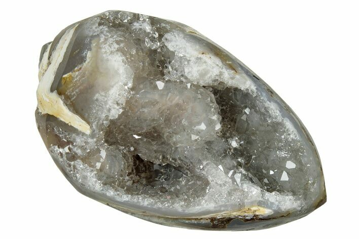 Chalcedony Replaced Gastropod With Sparkly Quartz - India #239316